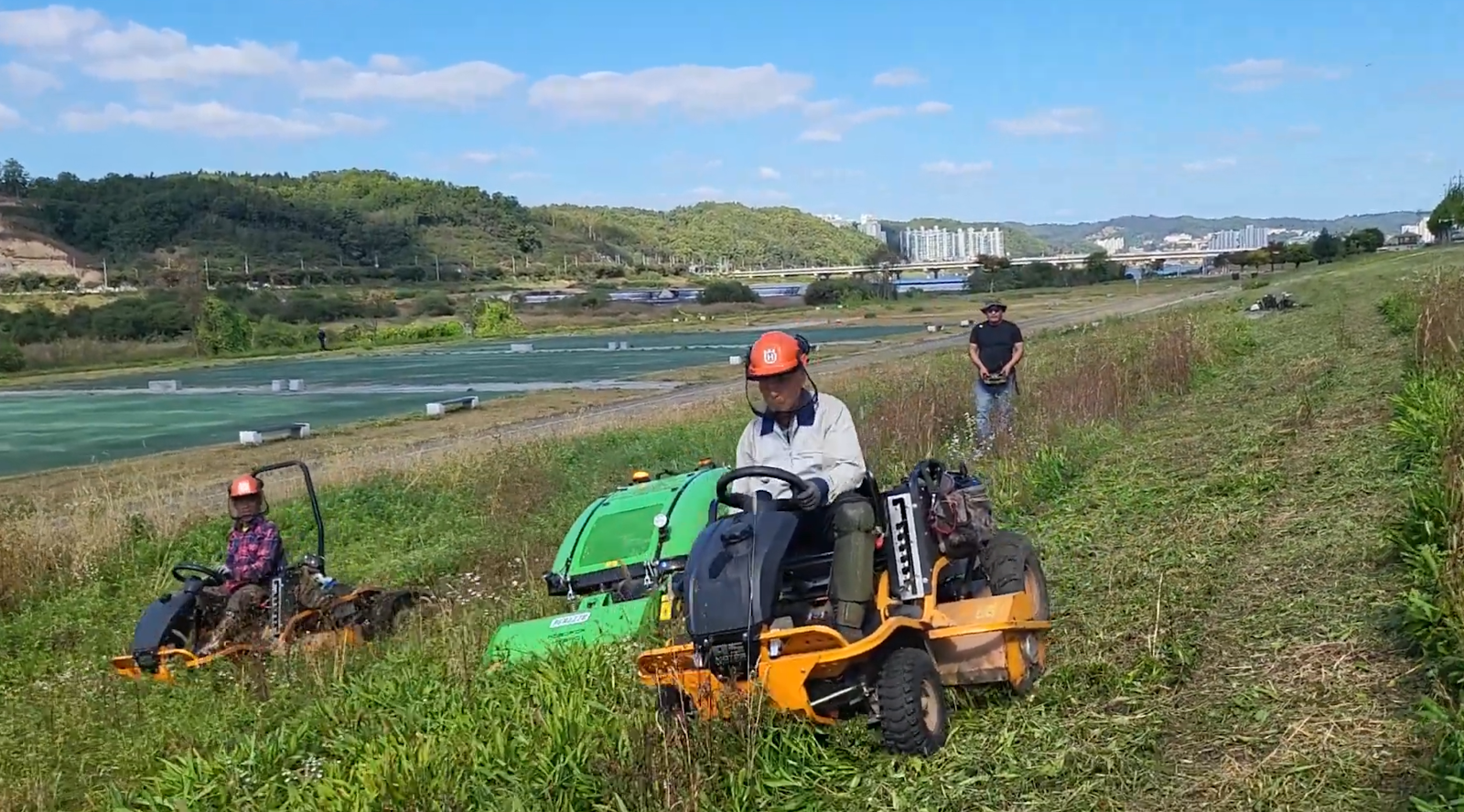 Heavy machinery clearing dense vegetation in a forest